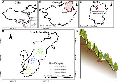 Leaf functional traits of Daphniphyllum macropodum across different altitudes in Mao’er Mountain in Southern China